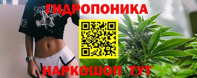 амф Жуковский