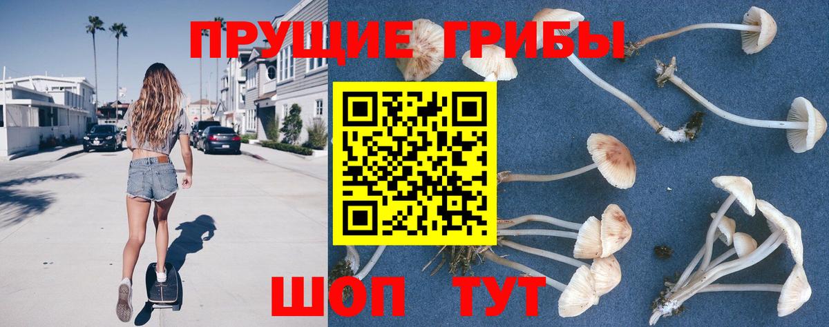 Магнитогорск  Галлюциногенные грибы мухоморы  Вход с VPN 