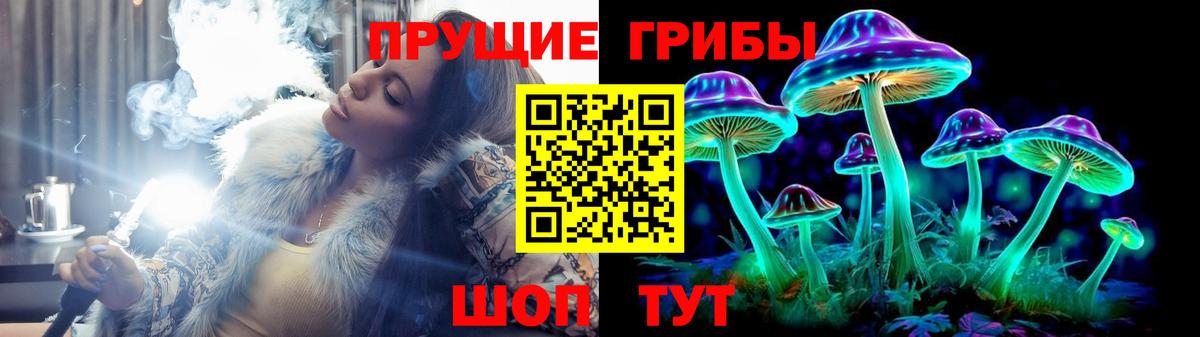 Псилоцибиновые грибы мицелий Магнитогорск